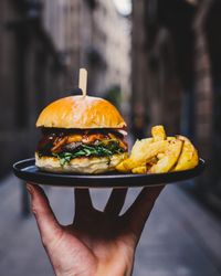 hamburger-and-fries